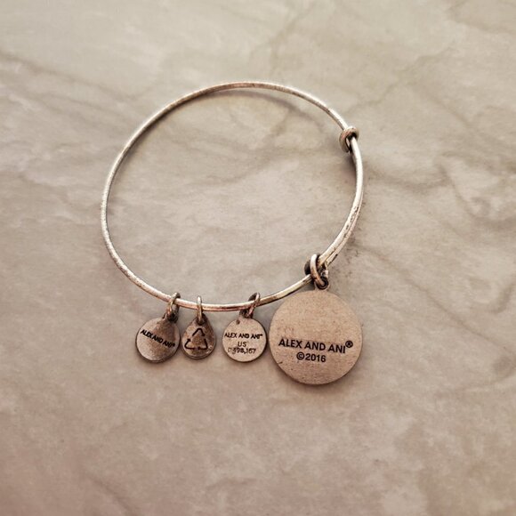 🍎 Alex and Ani Silver NYC New York City Apple Charm Expandable Bangle 🍎 - Picture 3 of 5